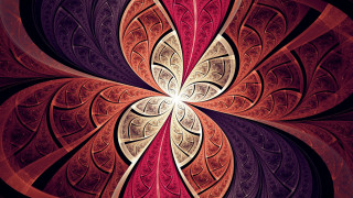 Colorful abstract fractals mandelbrot lace - a white center free wallpaper