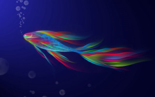 Colorful fish floating bubbles dark - blue background free wallpaper for desktop