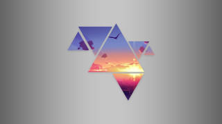 Sunset bird flying triangle shaped - a picture of a sunset free wallpaper