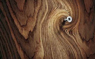 Wooden surface white knob flower - ai weiwei free wallpaper