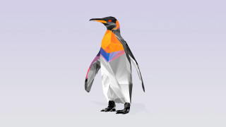 Penguin colorful geometric pattern body - a penguin free wallpaper