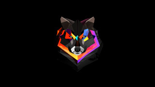 Colorful wolf head black background - brazier free wallpaper for desktop
