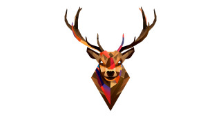 Deer head geometric pattern antlers - a geometric pattern free wallpaper