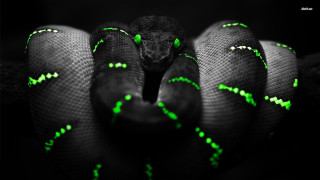 Green snake bioluminescent hologram glowing - head and neck free wallpaper