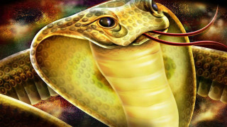 Snake long tongue painting mouth - a long tongue free wallpaper
