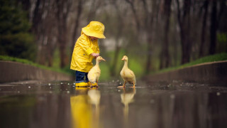 Boy yellow raincoat duck puddle - a little boy free wallpaper