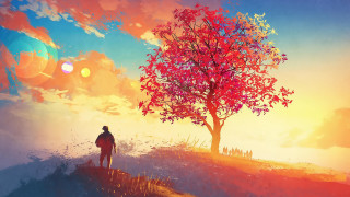 Man standing tree hill sunset - under a tree free wallpaper