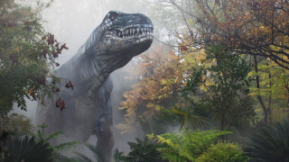 Large dinosaur forest trees bushes - fog free wallpaper for desktop