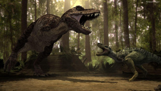 Dinosaurs fighting forest trees sunlight - the background and sunlight free wallpaper
