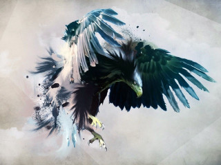 Bird wings spread out painting - its wing free wallpaper