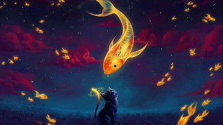 Cat sitting rock fish sky - lostfish free wallpaper for desktop