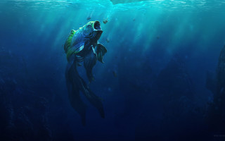 Large fish swimming ocean man - a fish free wallpaper