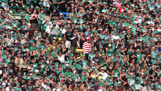 Stadium crowd green white frisbee - a tilt shift photo free wallpaper