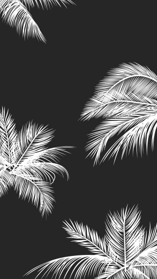 Black white palm trees ambient - free minimalism wallpaper for mobile