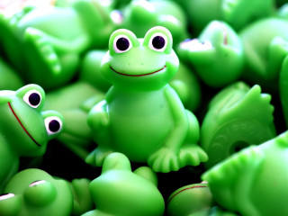 Close up green frogs wide - eye wide open free wallpaper