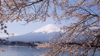 Free Spring wallpapers